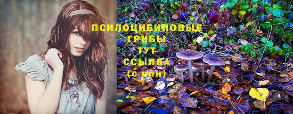 гидра Одинцово