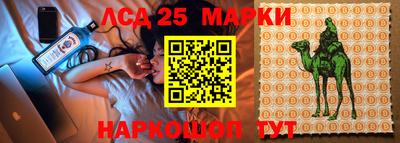 гидропоника Кандалакша